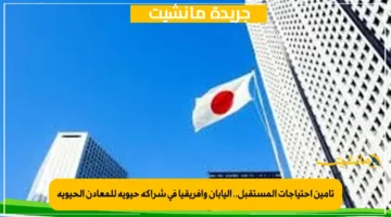 تأمين احتياجات المستقبل.. اليابان وأفريقيا في شراكة حيوية للمعادن الحيوية 1